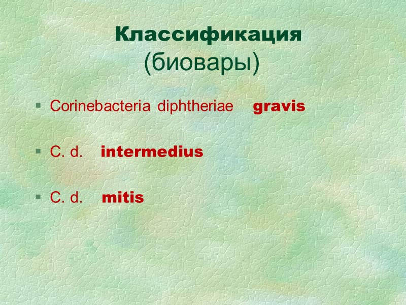 Классификация     (биовары) Corinebacteria diphtheriae    gravis  